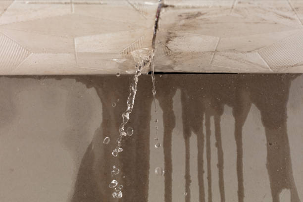 Professional Burst Pipe Cleanup technician working in Bucoda, WA